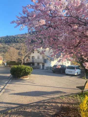Apartmán Casa Fam.Barbolini Tesero Exteriér fotografie